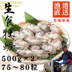 宮城県牡鹿半島産　鮮生牡蠣　500g×2