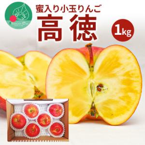 ふるさと納税 山形県 蜜入りりんご 高徳 1kg...の商品画像