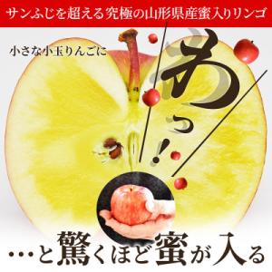 ふるさと納税 山形県 蜜入りりんご 高徳 1k...の詳細画像1