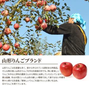 ふるさと納税 山形県 蜜入りりんご 高徳 1k...の詳細画像2