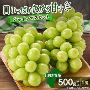 【2026年発送】やみつきシャインマスカット 500g以上(1房)