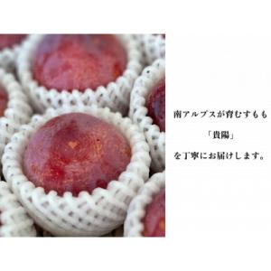 ふるさと納税 南アルプス市 【2026年先行予...の詳細画像1