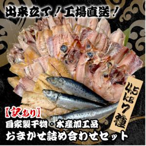 【訳あり】出来立て!工場直送! 自家製干物・水産加工品おまかせ詰め合わせセット7種 合計約4.5kg