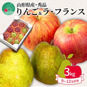 ふるさと納税 山形県 サンふじ&ラ・フランス 3kg(9〜12玉) ギフト箱入り 山形県産[2026年11月中旬から発送]