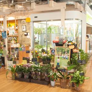 ふるさと納税 富良野市 【ギフト】富良野のお花...の詳細画像3