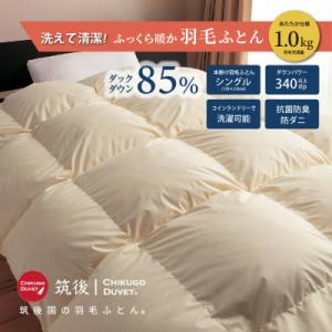 ふるさと納税 広川町 【訳あり】洗える羽毛本掛け布団85%1.0kgシングル(無地ベージュ系)【筑後...