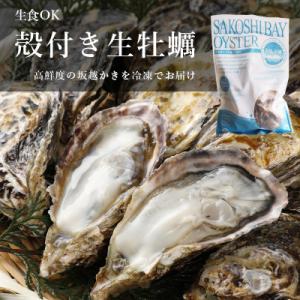 ふるさと納税 赤穂市 生食OK 坂越かき 殻付き生牡蠣12個入り×3パック【冷凍】