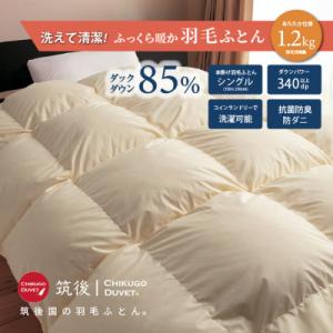 ふるさと納税 広川町 【訳あり】洗える羽毛本掛け布団85%1.2kgシングル(無地ベージュ系)【筑後...