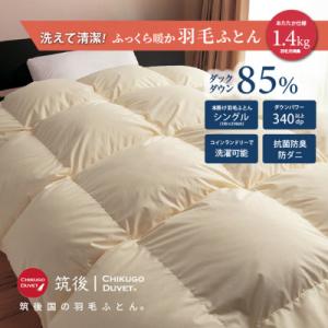 ふるさと納税 広川町 【訳あり】洗える羽毛本掛け布団85%1.4kgシングル(無地ベージュ系)【筑後...