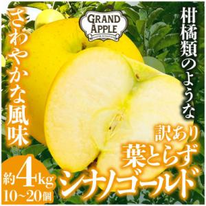 シナノゴールド　訳あり　約4kg(10～20個)
