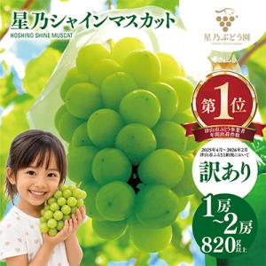 先行受付【訳あり】星乃シャインマスカット 820g 1房～2房