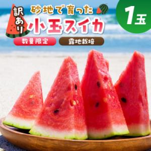 にしまるスイカ 訳あり 1玉入り(露地栽培)(2026年7月中旬から順次発送)