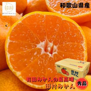 ≪先行受付 2026年11月中旬～発送≫有田みかんの最高峰 田村みかん 秀品 Mサイズ 約5kg