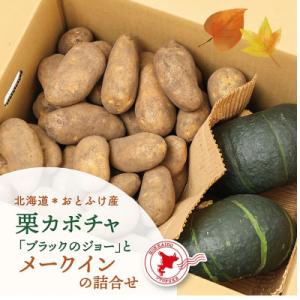 北海道おとふけ産 栗カボチャ「ブラックのジョー」・じゃがいも「メークイン」の詰め合わせ【B74】