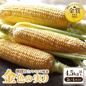 2026年6月上旬より発送予定　プレミアム味来4.5kg以上(2L～L)・S064