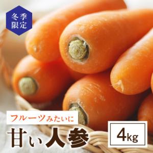 ＜2026年1月上旬～2月下旬発送予定＞【冬季限定】フルーツみたいに甘い人参4kg・S069