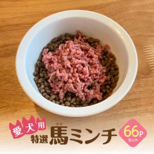 ふるさと納税 宇城市 特選馬ミンチ　66パックセット　大阪馬肉屋　ワンちゃん大喜び