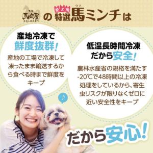 ふるさと納税 宇城市 特選馬ミンチ 66パック...の詳細画像3