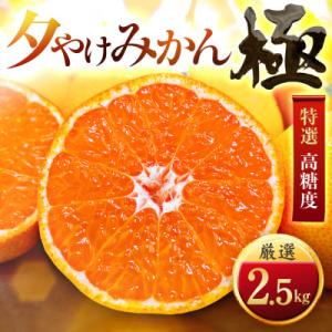 【迷ったらこれ!】甘みが濃縮　夕やけみかん【極】2.5kg　愛媛県産【A49-76】