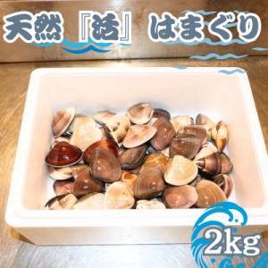 【数量限定】天然『活』はまぐり　2kg　※1個:40g～80g【千葉県勝浦市】