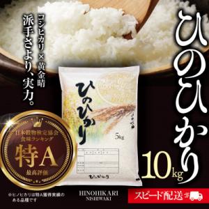 兵庫県産【ヒノヒカリ】令和7年産・ 白米 10kg (10kg×1袋)