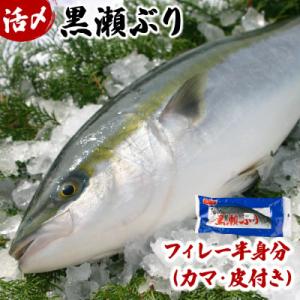 活じめ!黒瀬ブリの生鮮ぶりフィレー(1.5kg前後)【KRBF15】