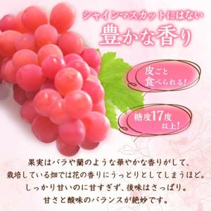 ふるさと納税 山梨市 【2026年発送】サンシ...の詳細画像2