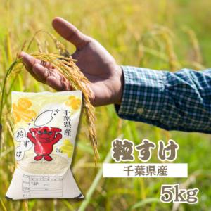 千葉県産　粒すけ　精米　5kg×1袋