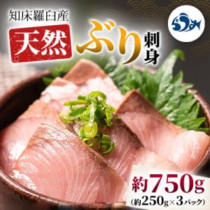 知床羅臼産 天然ぶり刺身 約750g(約250g×3パック)