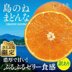 【さとふる限定】(訳あり)先行受付 島のね農園ブランド まどんな 3kg