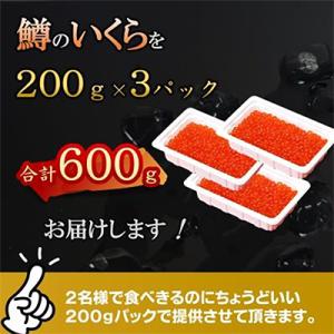 ふるさと納税 八雲町 いくら醤油漬 200g×...の詳細画像1