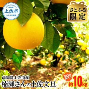 ふるさと納税 土佐市 【さとふる限定】【訳あり】高知県土佐市産 楠瀬さんの土佐文旦  約10kg (...