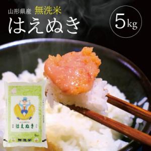 令和7年産　無洗米はえぬき　精米5kg×1袋