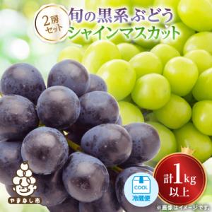 【2026年発送】山梨産シャインマスカットと黒系葡萄2色セット