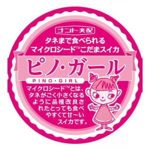 ふるさと納税 山辺町 【2026年先行受付】ご...の詳細画像3