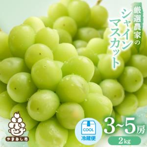 【2026年発送】シャインマスカット　3～5房 2kg