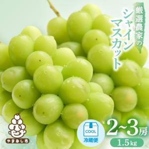 【2026年発送】シャインマスカット　2～3房 1.5kg
