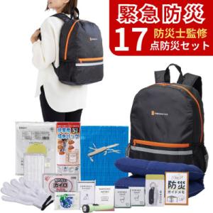 防災セット 17点 備蓄 災害 非常用持ち出し袋 8-800F