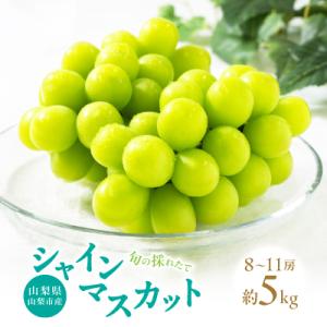 【2026年発送】山梨県山梨市産　旬の採れたてシャインマスカット　秀等品　約5kg(8～11房)