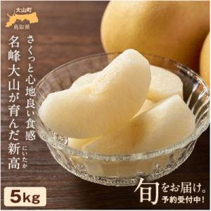 鳥取県産和ナシ　新高梨5kg
