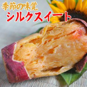 スイーツ感覚の『シルクスイート』1kg(3～5本)栽培期間中、農薬・化学肥料不使用