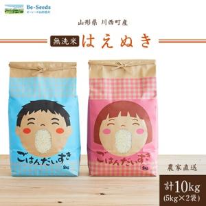 令和7年産　はえぬき10kg(5kg×2袋)【無洗米】