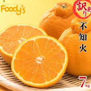 ふるさと納税 熊本市 訳あり 不知火 計7kg 【2025年1月下旬から2025年4月下旬発送予定】【Foody's】