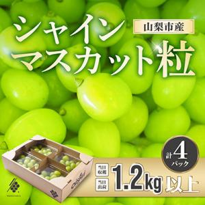 シャインマスカット 粒 約1.2kg 訳あり ぶどう 粒カット