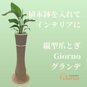 ふるさと納税 館山市 猫のおしゃれ爪とぎ「カリカリーナGiorno」 グランデ6号鉢用