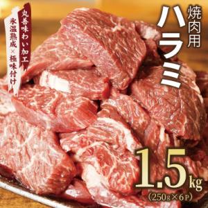 【氷温熟成×極味付け】牛肉 ハラミ 1.5kg(250g×6) mrz0421