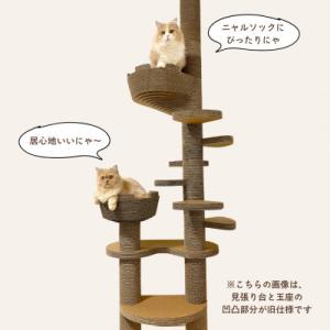 ふるさと納税 館山市 猫のおしゃれ爪とぎ「カリ...の詳細画像2