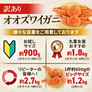 ふるさと納税 様似町 【訳あり】オオズワイガニ...の詳細画像2