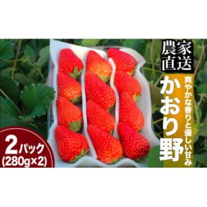 完熟いちご280g×2パック(DXパック)　かおり野