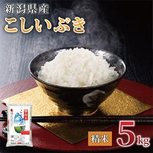 【令和7年産 】新潟県産 こしいぶき 5kg 精米 新潟 の美味しい お米